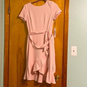 NEW Light Pink Calvin Klein Dress, Size 6
